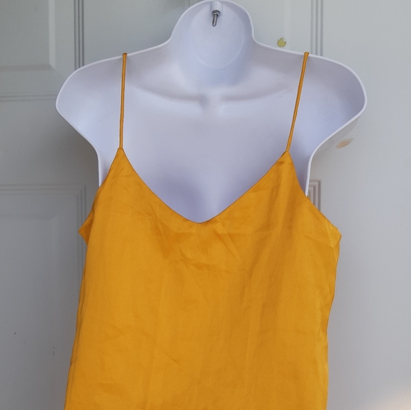 Gold Top - Picture 5 of 8